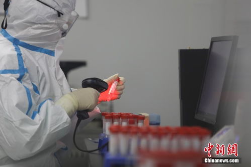 探访北京新冠肺炎病毒核酸检测医疗机构